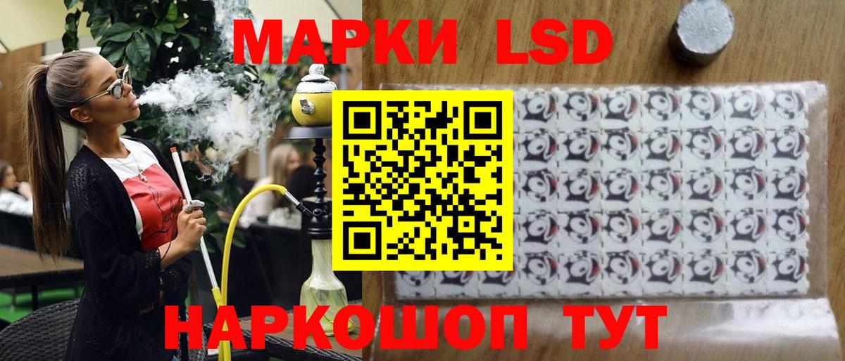 COCAIN Котельники