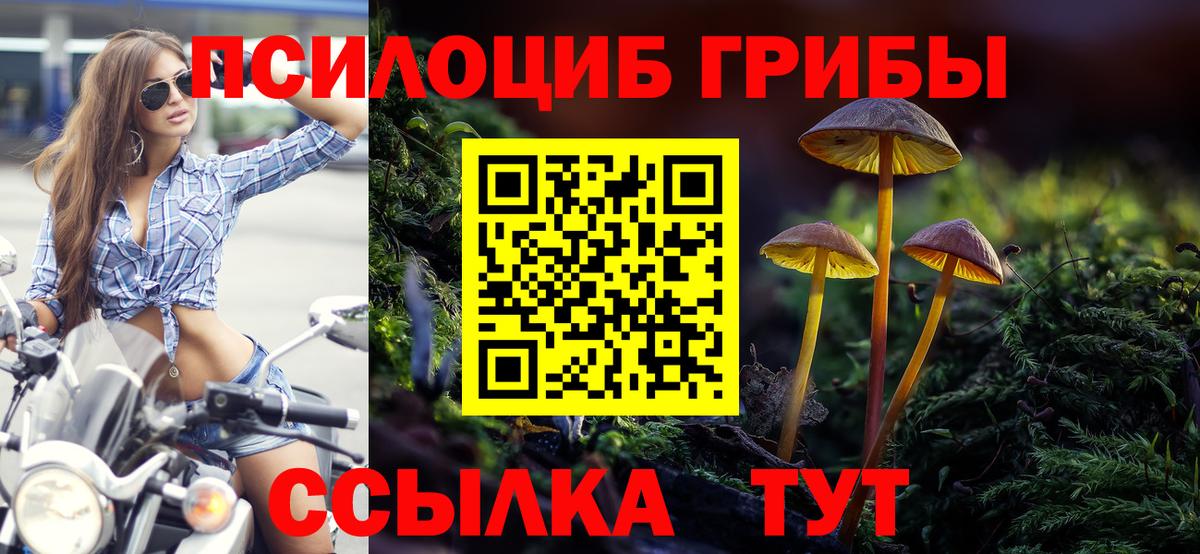 Псилоцибиновые грибы GOLDEN TEACHER  Вход с VPN  Котельники  Псилоцибиновые грибы GOLDEN TEACHER 