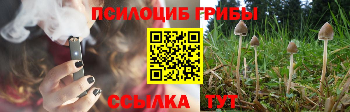 Галлюциногенные грибы MAGIC MUSHROOMS Котельники